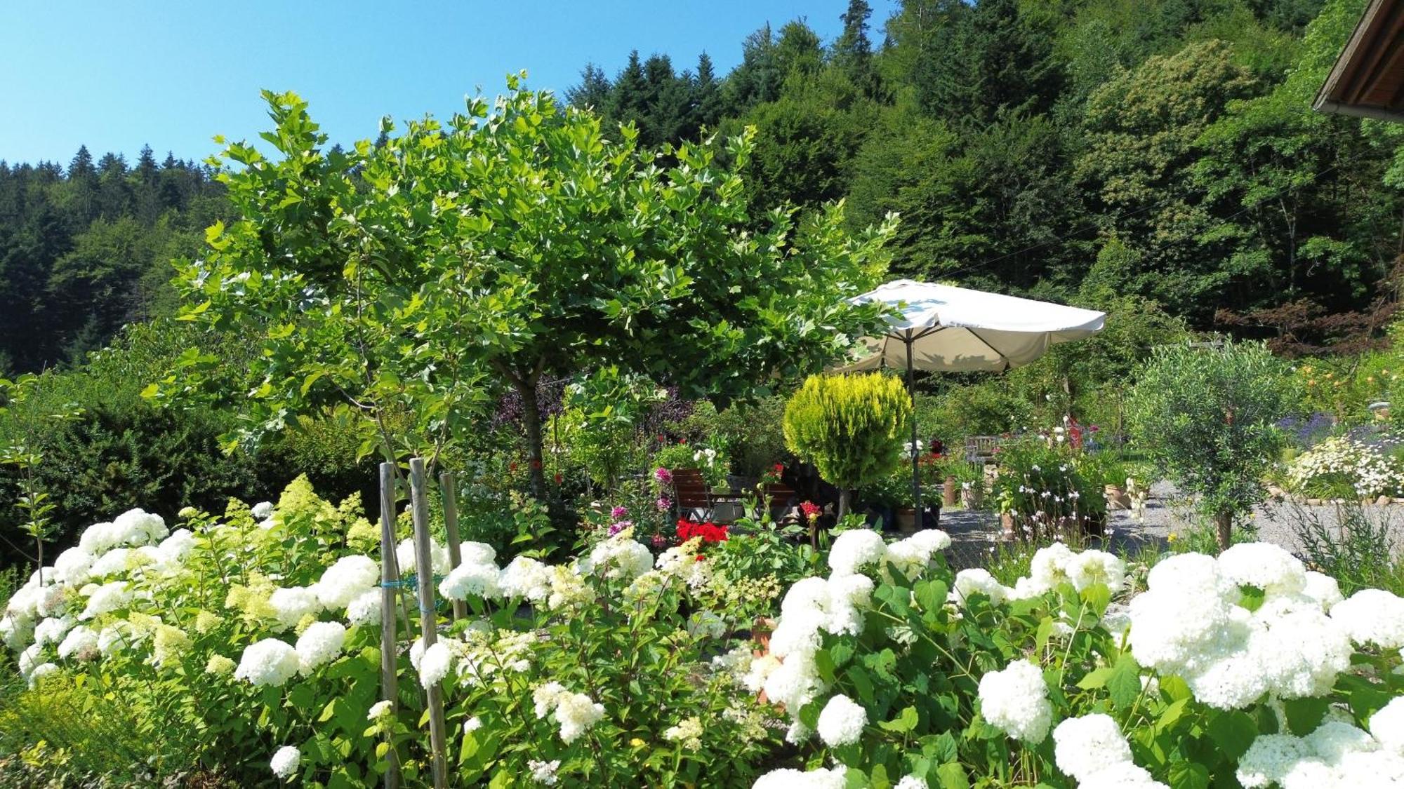 The Moosbach Garden Pensionat Nordrach Eksteriør billede